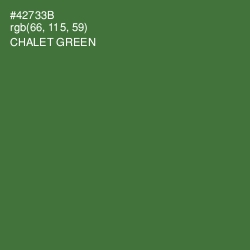 #42733B - Chalet Green Color Image
